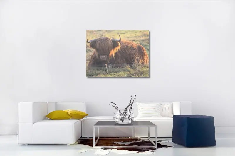 Foto op Canvas (3M Plakstrip, Luxe Baklijst Zwart, Zonsopkomst in natuurgebied)