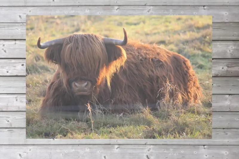 Foto op Tuinposter (40x40, Los doek, Zonsopkomst in natuurgebied)