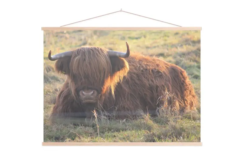 Foto met Poster hanger