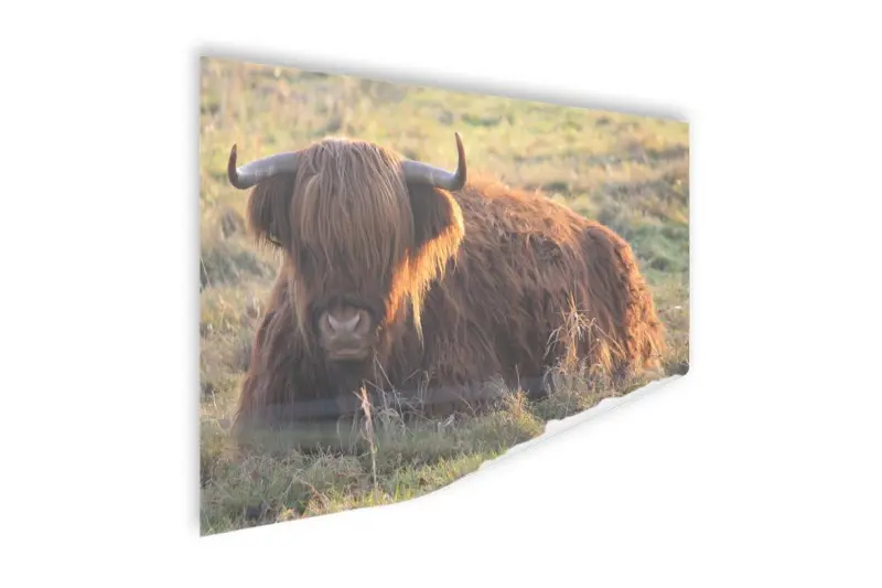 Foto op Poster (30*20, Zonsopkomst in natuurgebied)