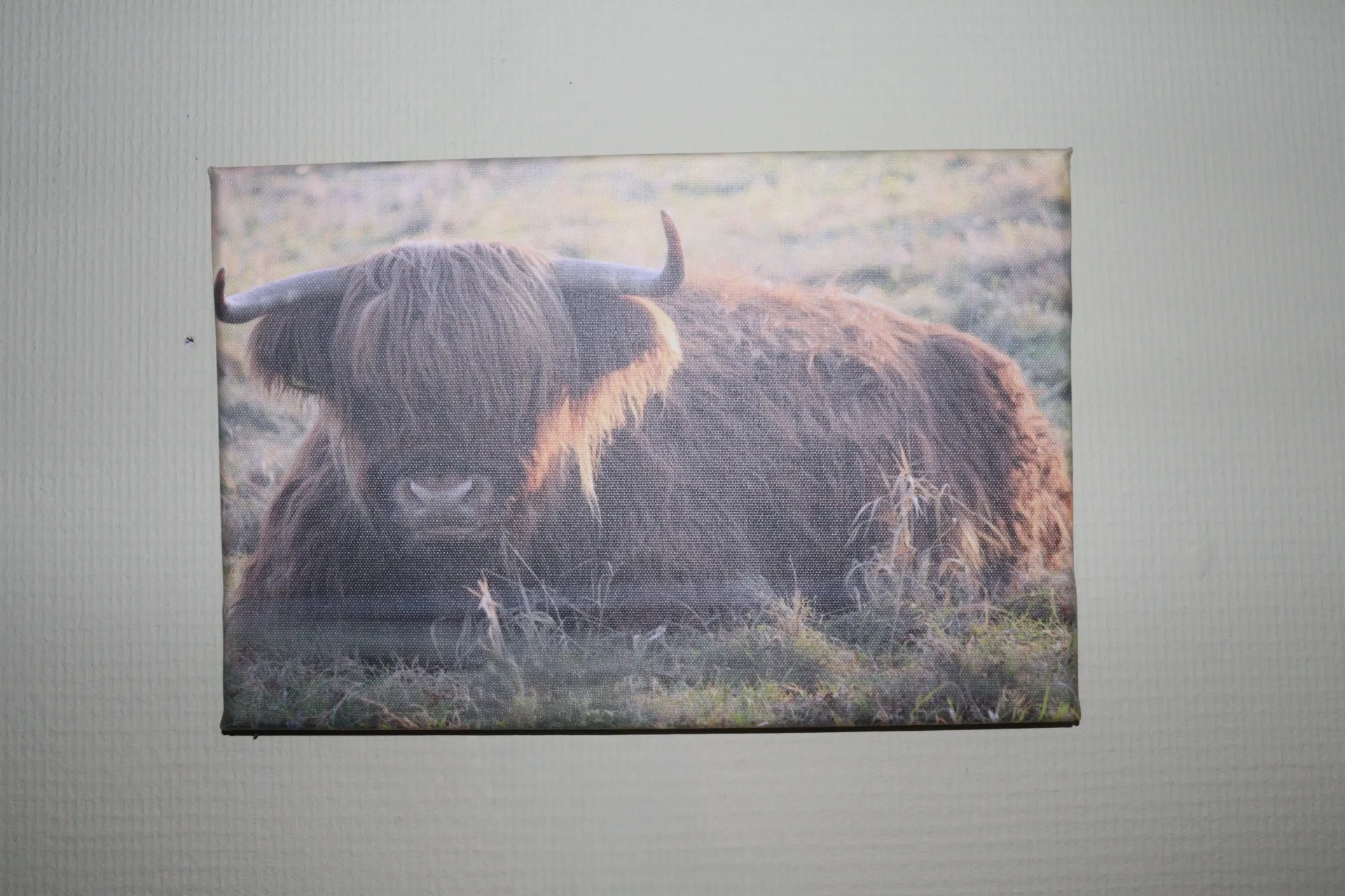 Foto op Canvas (3M Plakstrip, Luxe Baklijst Zwart, Zonsopkomst in natuurgebied, 20x20)