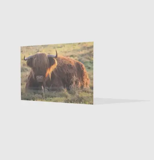 Foto op verzendkaart