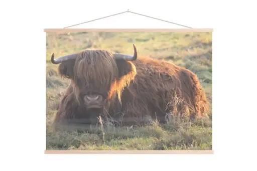 Foto met Poster hanger